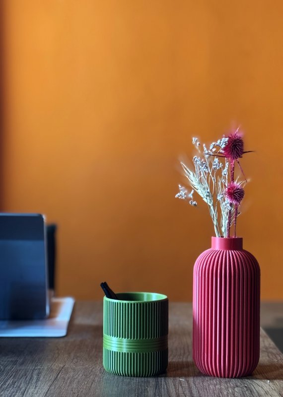 Diken Çiçeği Saksısı